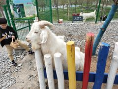 -西部长青自然儿童乐园