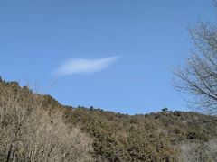 -北京西山国家森林公园