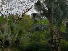 -广州雕塑公园