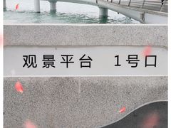 -演武大桥观景平台