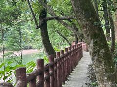 -广州市石门国家森林公园