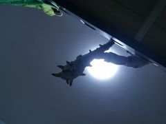 -百荣世贸商城
