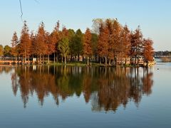 -贡湖湾湿地公园