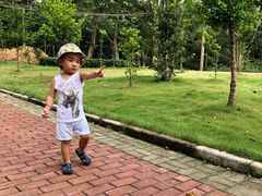 -南宁良凤江国家森林公园