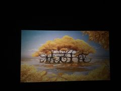 -万达影城(长沙婚庆公园中国巨幕店)
