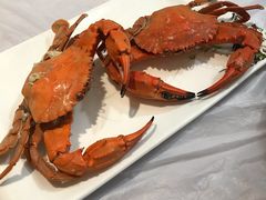 辣炒花蛤-宾朋海鲜美食特色餐厅·纯手工鲅鱼水饺(兴海路店)