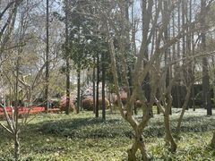 -徐家汇源景区-衡山公园