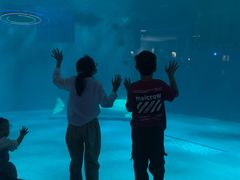 -泉城欧乐堡海洋极地世界