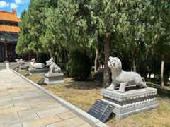 -龙口南山旅游景区