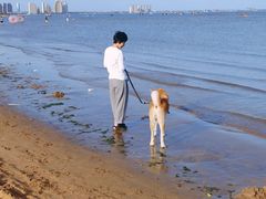 -东戴河风景区-止锚湾