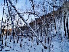 -北极村旅游风景区