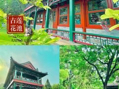 -莲池书院博物馆