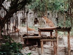 -广州长隆野生动物世界