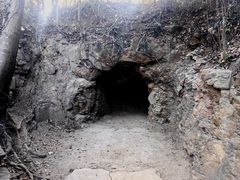 -上海佘山国家森林公园天马山园