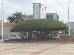 -南宁南湖公园