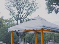 -映月湖中央公园