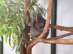 -费瑟代尔野生动物园