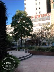 -金太子形象设计