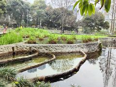 -成都市活水公园