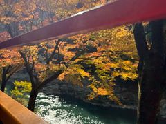 -岚山嵯峨野观光小火车
