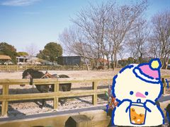 -苏州太湖西山岛开心农场