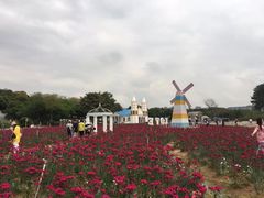 -松山湖梦幻百花洲