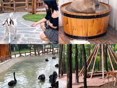 -南戴河国际娱乐中心