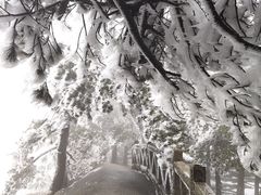 -天柱山风景区