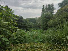 -昆山城市生态森林公园