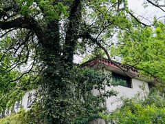 -普陀山雷迪森庄园