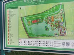 -荷兰花海