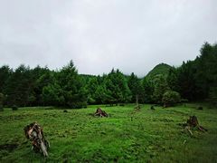 -硗碛藏寨·神木垒景区