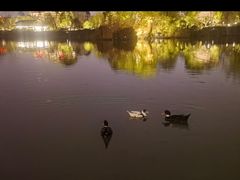 -南通濠河风景名胜区