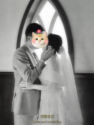 -金夫人婚纱摄影(总店)