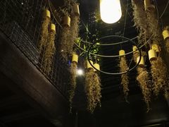 景观位-胡桃里音乐酒馆(曲江店)