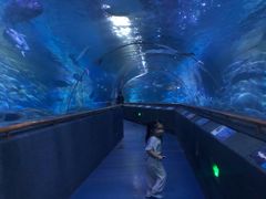 -厦门海底世界