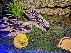 -梦幻海洋王国(吾悦广场张家港店)