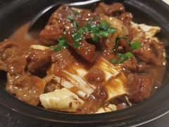 牛筋牛腩煲-龙记烧腊茶餐厅(常德路店)