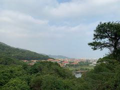 -厦门国家会计学院