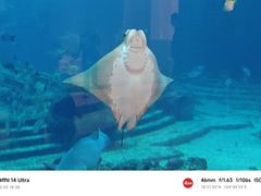 -三亚亚特兰蒂斯度假区