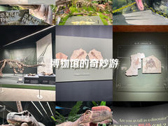 -遇见博物馆(遇见海洋沉浸式奇幻光影展)