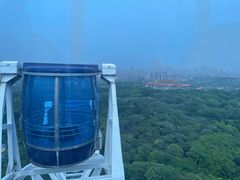-宜兴龙背山森林公园