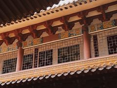 -深圳仙湖植物园