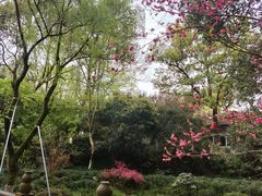 -杭州少年儿童公园