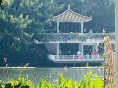 -荔枝公园(福田区)