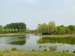 -东郊湿地公园
