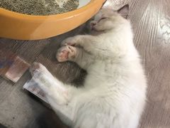 -宠物世家(仲盛世界商城店)