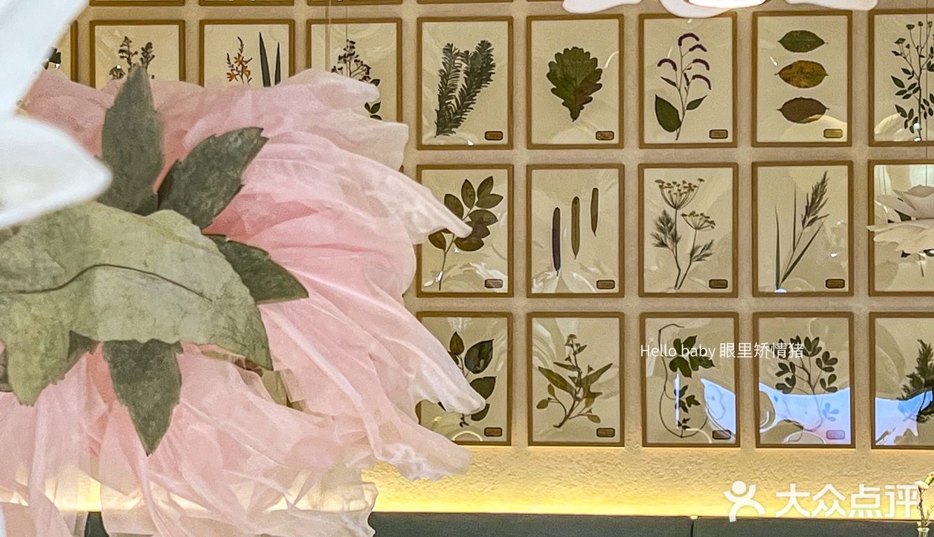 宁波新店｜超适合小仙女🧚‍♀️聚会的花园餐厅
