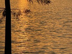 -合肥滨湖国家森林公园