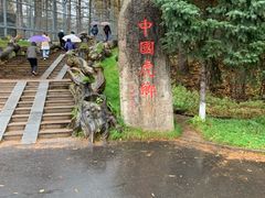 -横道河子东北虎林园